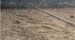   Bán lô đất F0 tại Hoa Động, Thuỷ Nguyên, Hải Phòng
