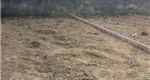   Bán lô đất F0 tại Hoa Động, Thuỷ Nguyên, Hải Phòng